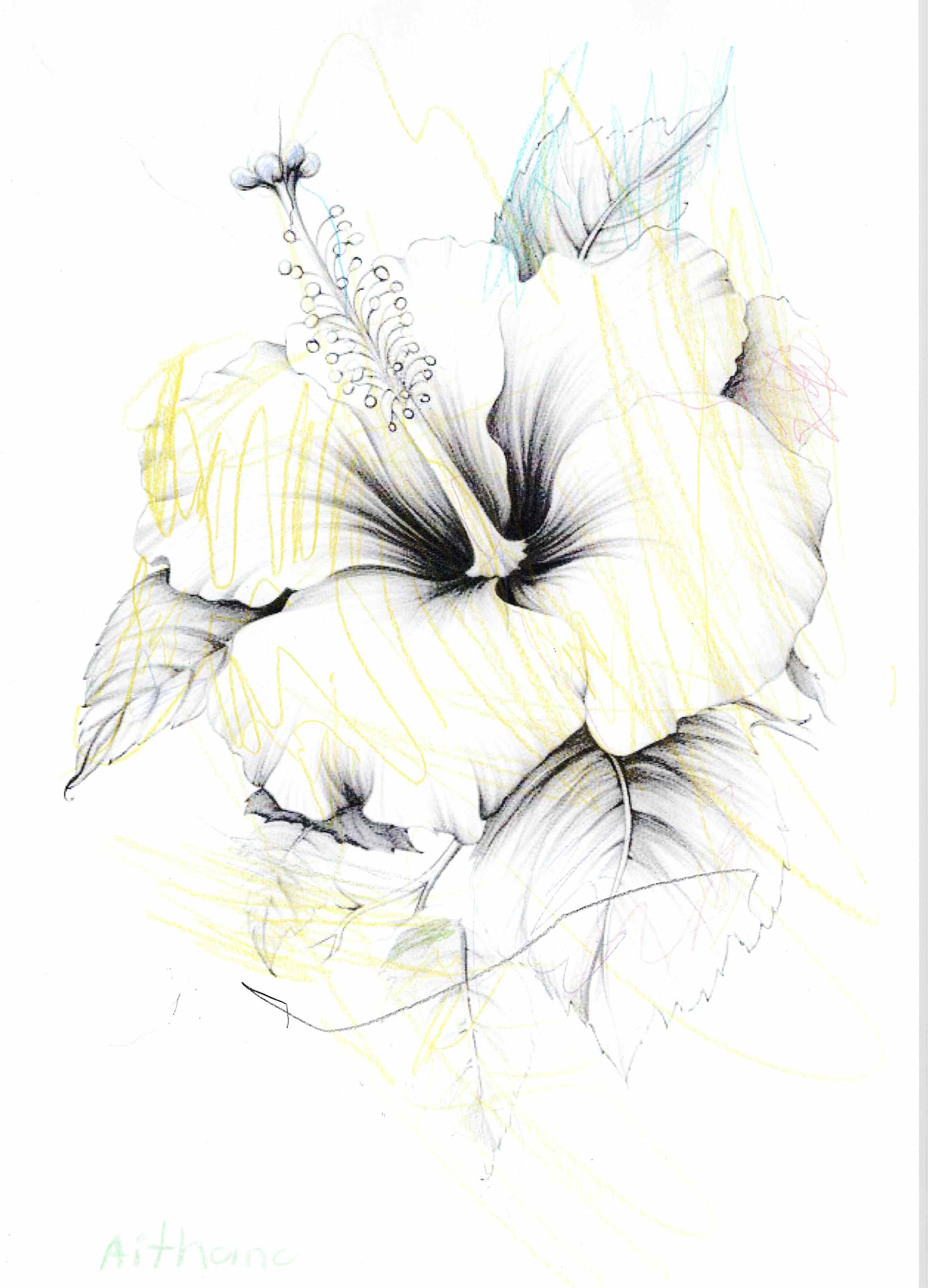 Artwork by Arthuro
